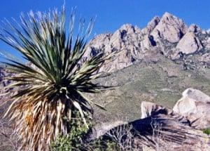 Land including the Organ Mountains, shown here, would be protected under the pending bill. (Photo by Heath Haussamen)
